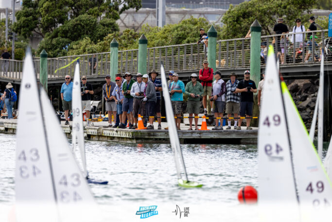 2025 Auckland Anniversary Regatta. Monday 27 January. Photo: Suellen Hurling / Lvie Sail Die