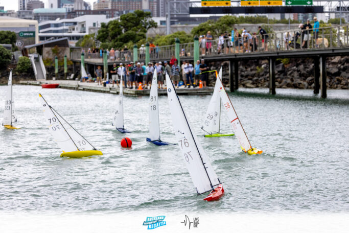 2025 Auckland Anniversary Regatta. Monday 27 January. Photo: Suellen Hurling / Lvie Sail Die