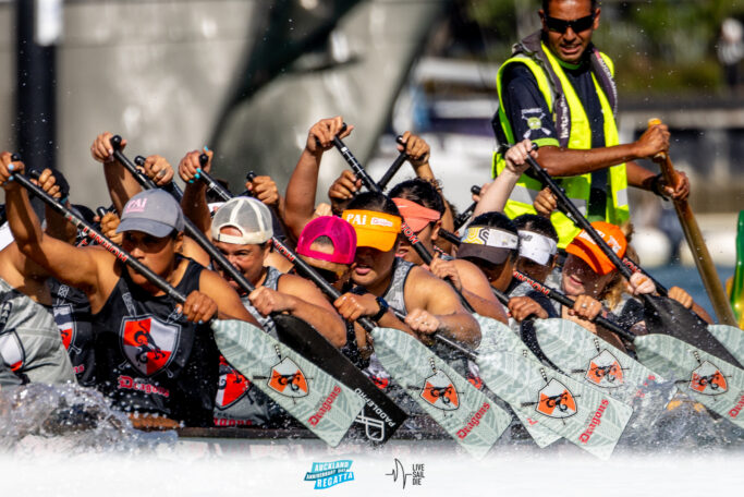 2025 Auckland Anniversary Regatta. Monday 27 January. Photo: Suellen Hurling / Lvie Sail Die