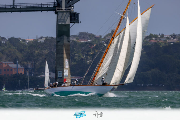 2025 Auckland Anniversary Regatta. Monday 27 January. Photo: Suellen Hurling / Lvie Sail Die