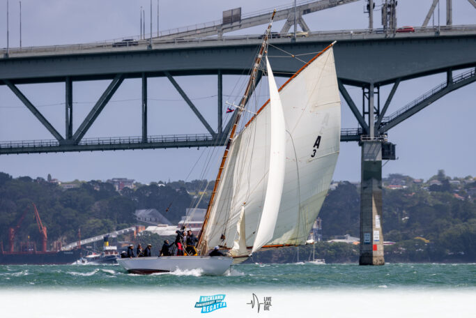 2025 Auckland Anniversary Regatta. Monday 27 January. Photo: Suellen Hurling / Lvie Sail Die