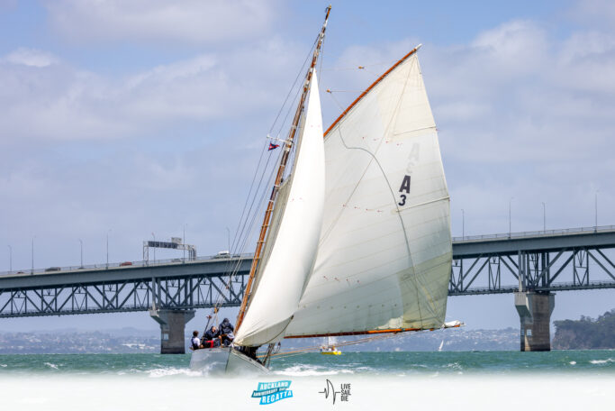 2025 Auckland Anniversary Regatta. Monday 27 January. Photo: Suellen Hurling / Lvie Sail Die