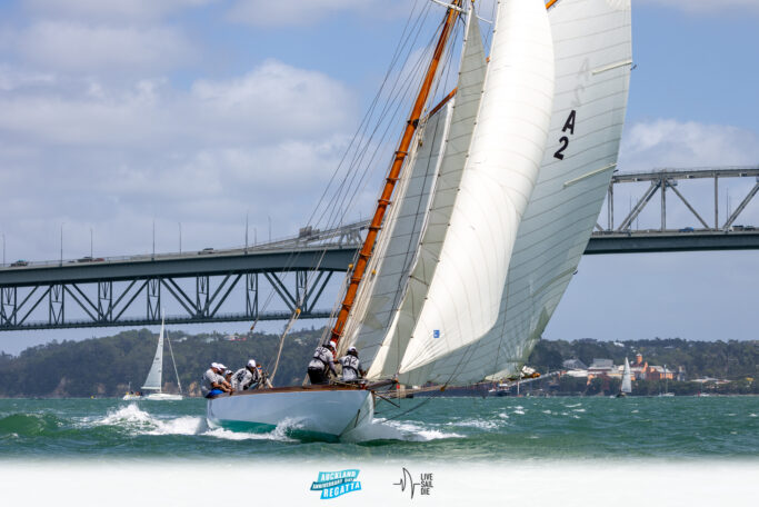 2025 Auckland Anniversary Regatta. Monday 27 January. Photo: Suellen Hurling / Lvie Sail Die