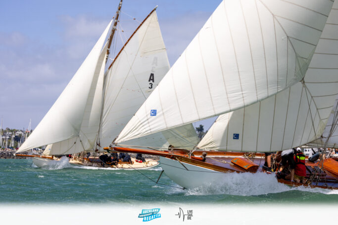 2025 Auckland Anniversary Regatta. Monday 27 January. Photo: Suellen Hurling / Lvie Sail Die