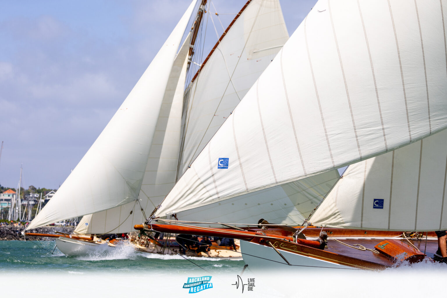 Home Auckland Anniversary Regatta