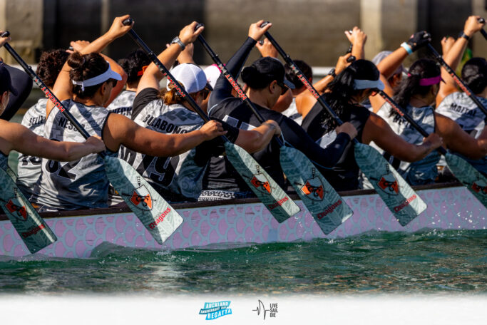 2025 Auckland Anniversary Regatta. Monday 27 January. Photo: Suellen Hurling / Lvie Sail Die