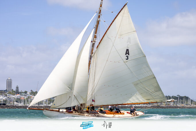 2025 Auckland Anniversary Regatta. Monday 27 January. Photo: Suellen Hurling / Lvie Sail Die