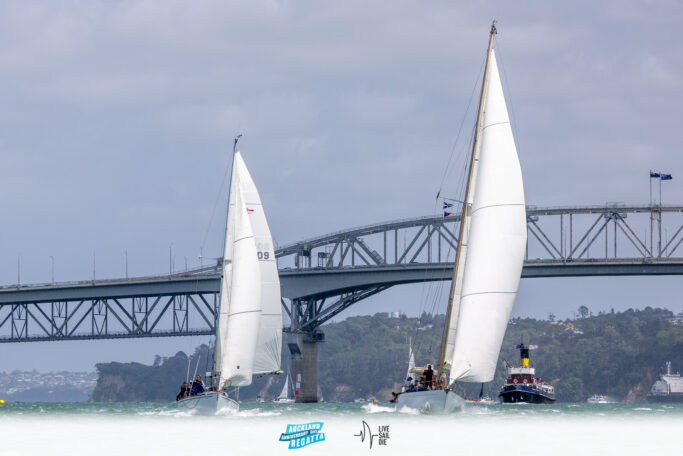 2025 Auckland Anniversary Regatta. Monday 27 January. Photo: Suellen Hurling / Lvie Sail Die