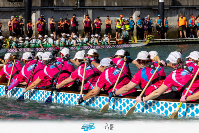 2025 Auckland Anniversary Regatta. Monday 27 January. Photo: Suellen Hurling / Lvie Sail Die