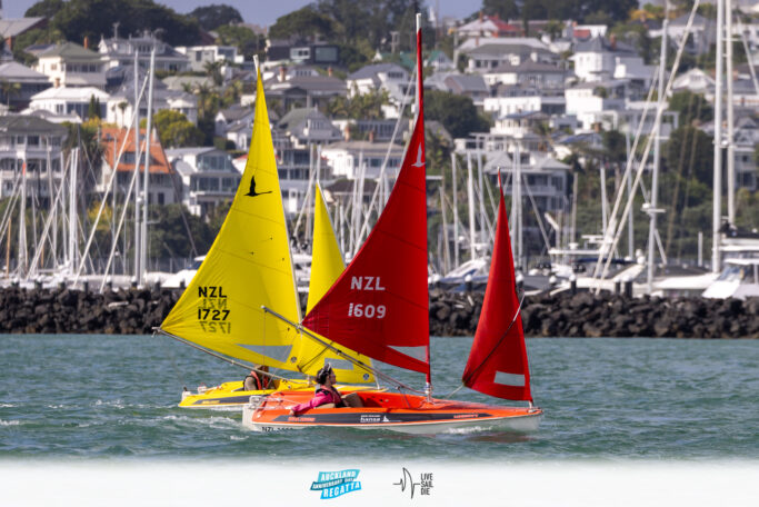 2025 Auckland Anniversary Regatta. Monday 27 January. Photo: Suellen Hurling / Lvie Sail Die