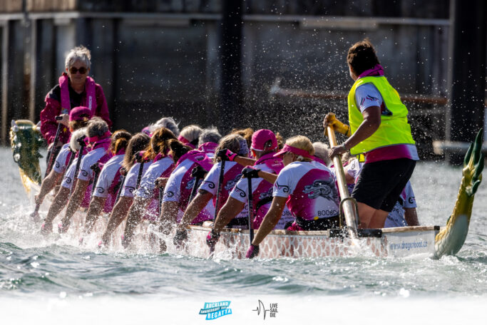 2025 Auckland Anniversary Regatta. Monday 27 January. Photo: Suellen Hurling / Lvie Sail Die