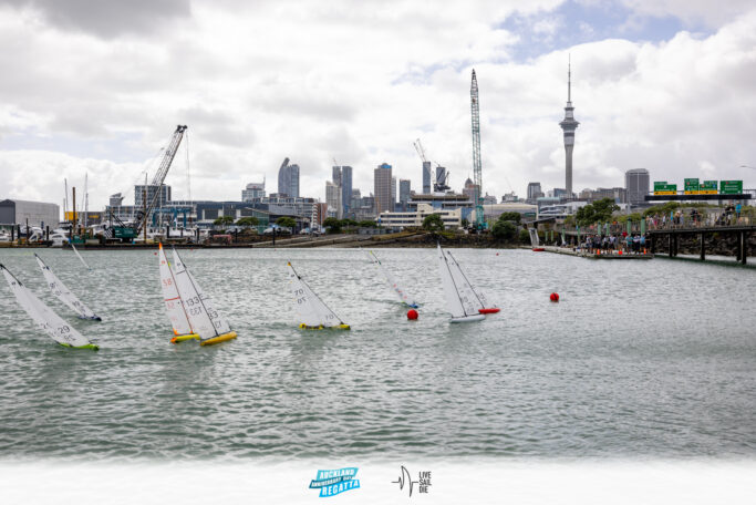 2025 Auckland Anniversary Regatta. Monday 27 January. Photo: Suellen Hurling / Lvie Sail Die