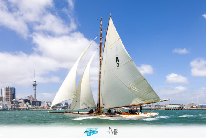 2025 Auckland Anniversary Regatta. Monday 27 January. Photo: Suellen Hurling / Lvie Sail Die