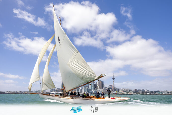 2025 Auckland Anniversary Regatta. Monday 27 January. Photo: Suellen Hurling / Lvie Sail Die