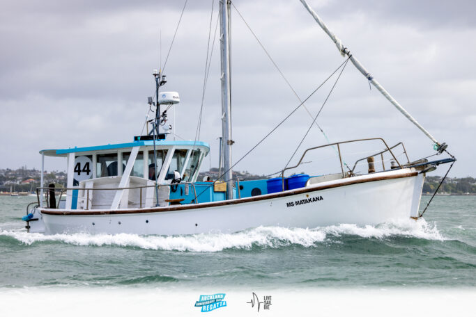 2025 Auckland Anniversary Regatta. Monday 27 January. Photo: Suellen Hurling / Lvie Sail Die