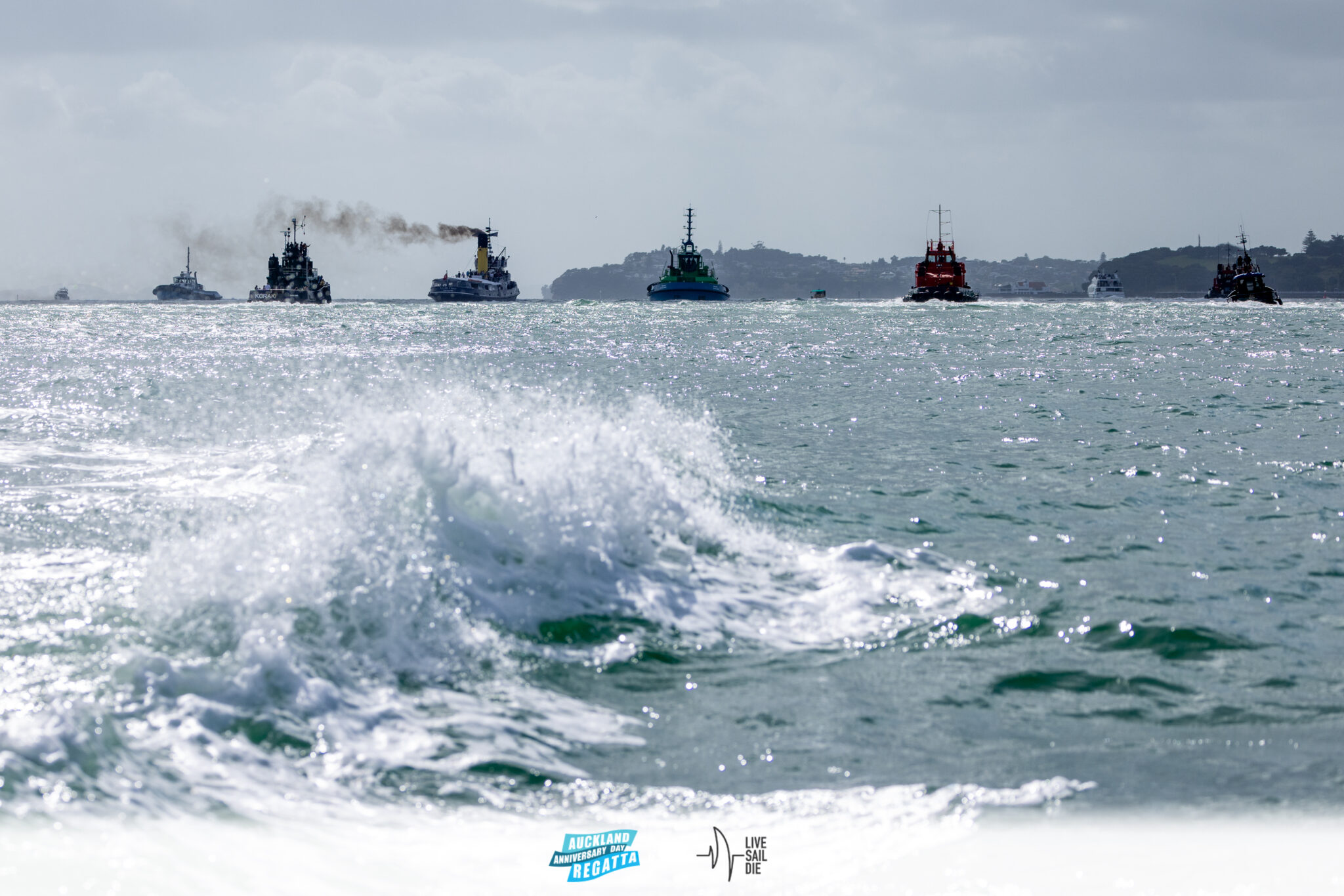 Home Auckland Anniversary Regatta