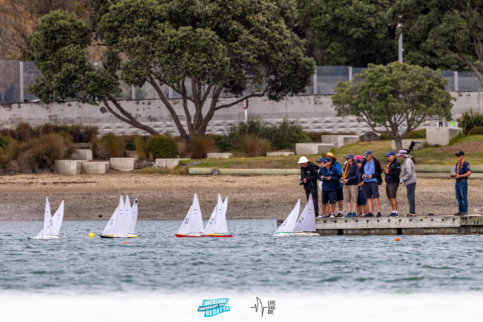 2025 Auckland Anniversary Regatta. Monday 27 January. Photo: Suellen Hurling / Lvie Sail Die