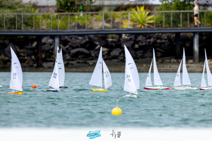 2025 Auckland Anniversary Regatta. Monday 27 January. Photo: Suellen Hurling / Lvie Sail Die