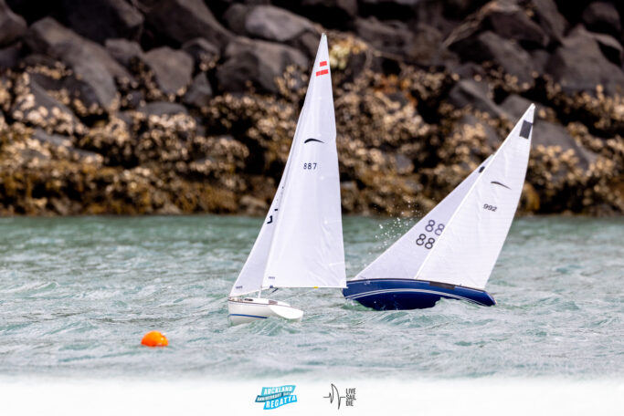 2025 Auckland Anniversary Regatta. Monday 27 January. Photo: Suellen Hurling / Lvie Sail Die