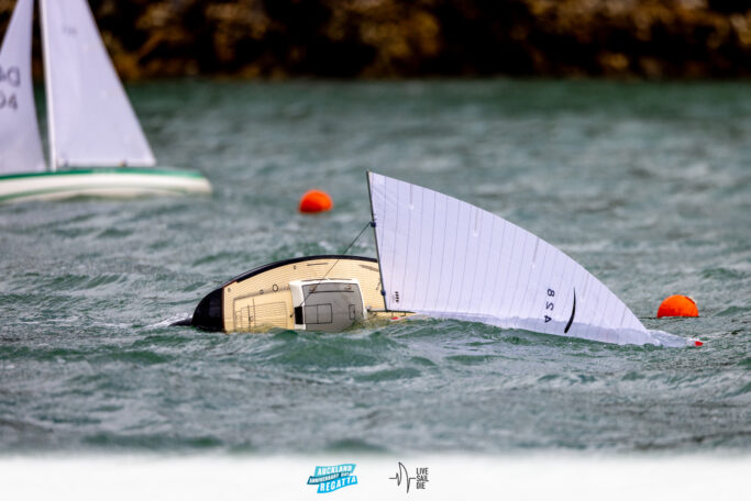 2025 Auckland Anniversary Regatta. Monday 27 January. Photo: Suellen Hurling / Lvie Sail Die