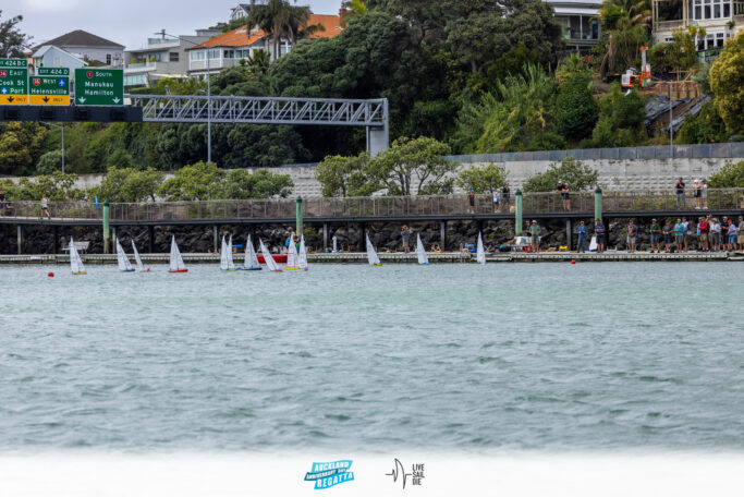 2025 Auckland Anniversary Regatta. Monday 27 January. Photo: Suellen Hurling / Lvie Sail Die