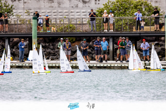 2025 Auckland Anniversary Regatta. Monday 27 January. Photo: Suellen Hurling / Lvie Sail Die