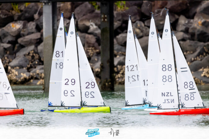 2025 Auckland Anniversary Regatta. Monday 27 January. Photo: Suellen Hurling / Lvie Sail Die