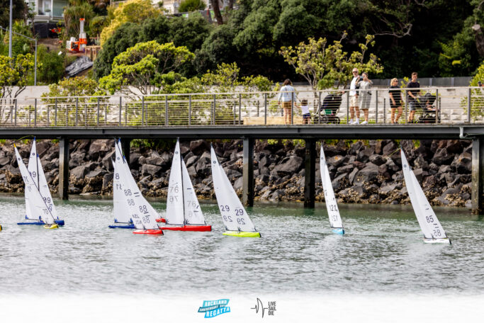 2025 Auckland Anniversary Regatta. Monday 27 January. Photo: Suellen Hurling / Lvie Sail Die