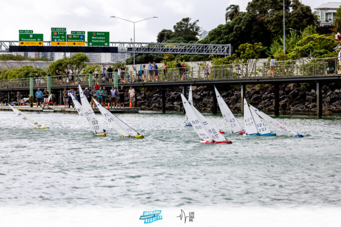 2025 Auckland Anniversary Regatta. Monday 27 January. Photo: Suellen Hurling / Lvie Sail Die