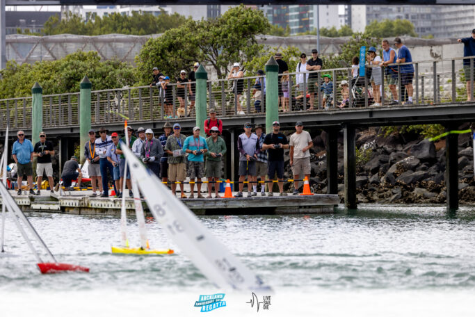 2025 Auckland Anniversary Regatta. Monday 27 January. Photo: Suellen Hurling / Lvie Sail Die