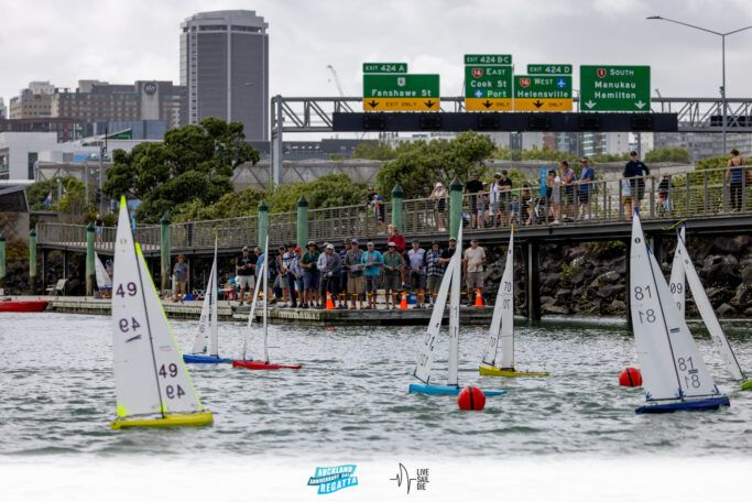 2025 Auckland Anniversary Regatta. Monday 27 January. Photo: Suellen Hurling / Lvie Sail Die