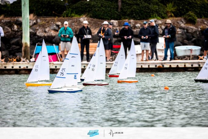 2026 Auckland Anniversary Day Regatta. Monday 26 January. Suellen Hurling / Live Sail Die
