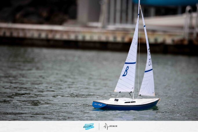 2026 Auckland Anniversary Day Regatta. Monday 26 January. Suellen Hurling / Live Sail Die