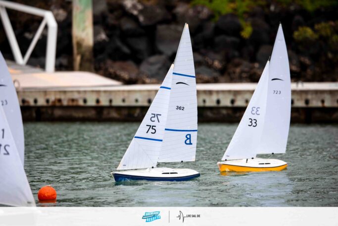 2026 Auckland Anniversary Day Regatta. Monday 26 January. Suellen Hurling / Live Sail Die