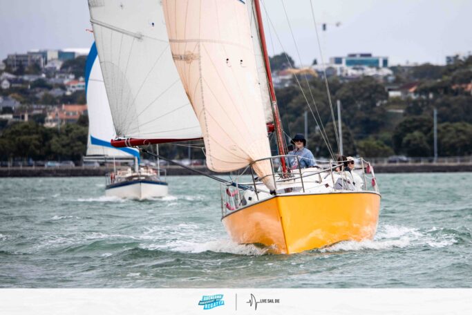 2026 Auckland Anniversary Day Regatta. Monday 26 January. Suellen Hurling / Live Sail Die