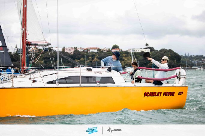 2026 Auckland Anniversary Day Regatta. Monday 26 January. Suellen Hurling / Live Sail Die