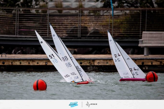 2026 Auckland Anniversary Day Regatta. Monday 26 January. Suellen Hurling / Live Sail Die