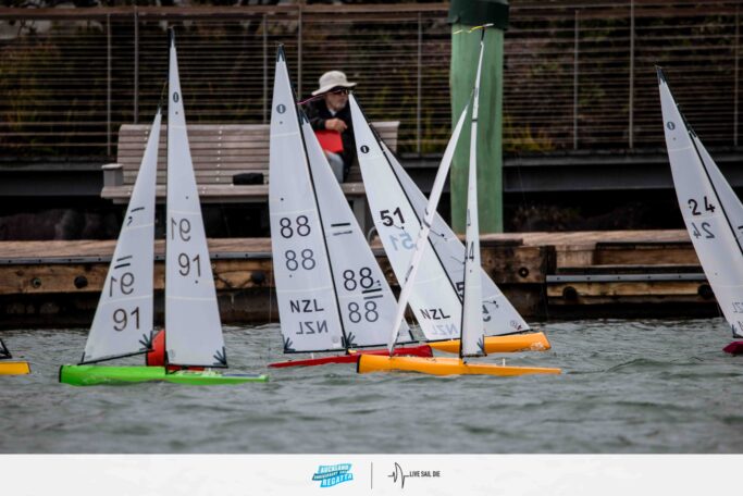 2026 Auckland Anniversary Day Regatta. Monday 26 January. Suellen Hurling / Live Sail Die