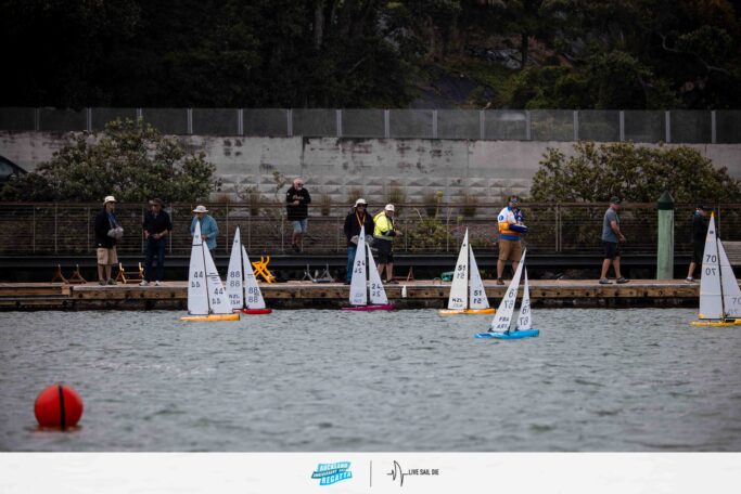 2026 Auckland Anniversary Day Regatta. Monday 26 January. Suellen Hurling / Live Sail Die