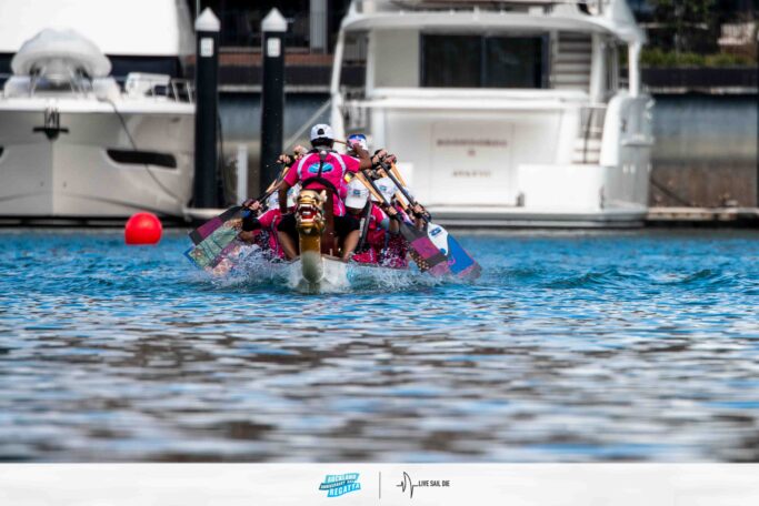 2026 Auckland Anniversary Day Regatta. Monday 26 January. Suellen Hurling / Live Sail Die