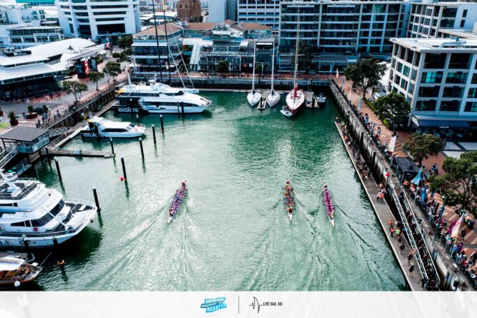 2026 Auckland Anniversary Day Regatta. Monday 26 January. Liam Dobson / Live Sail Die