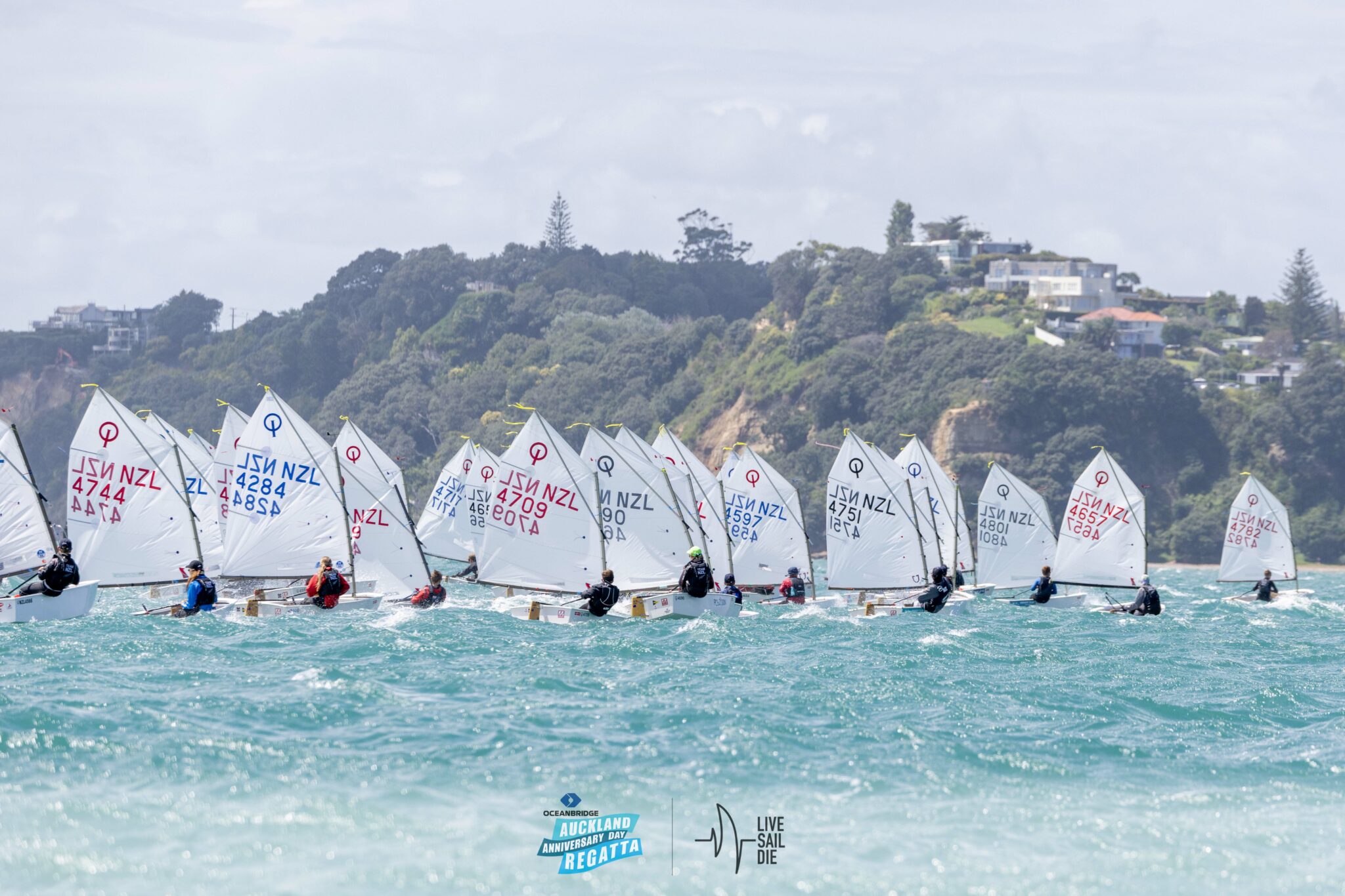Home Auckland Anniversary Regatta