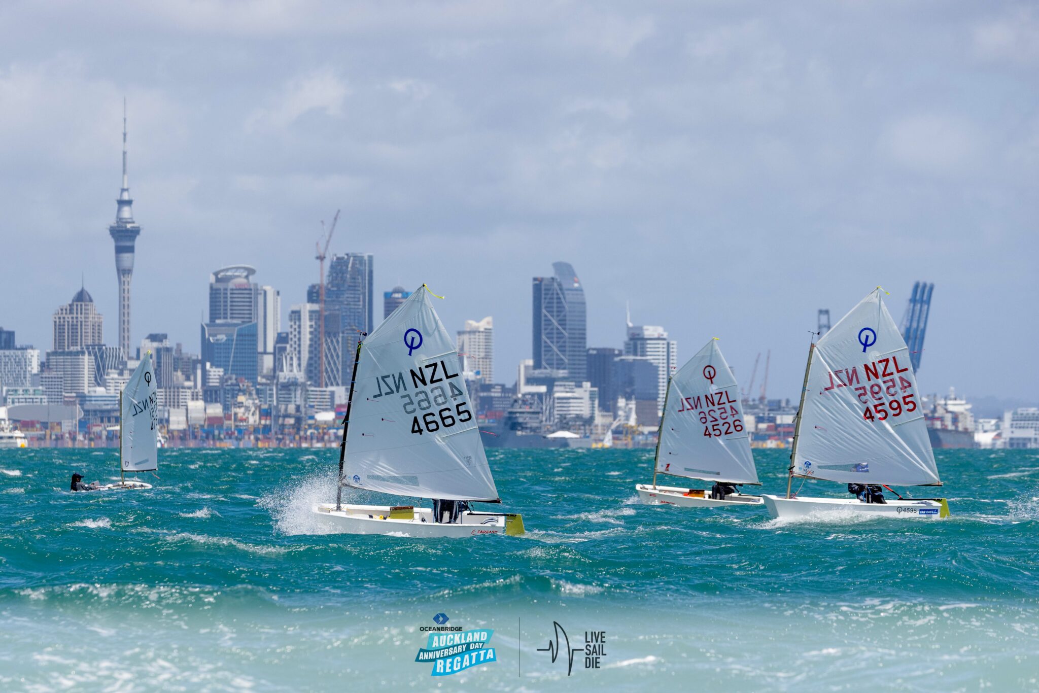 Home Auckland Anniversary Regatta