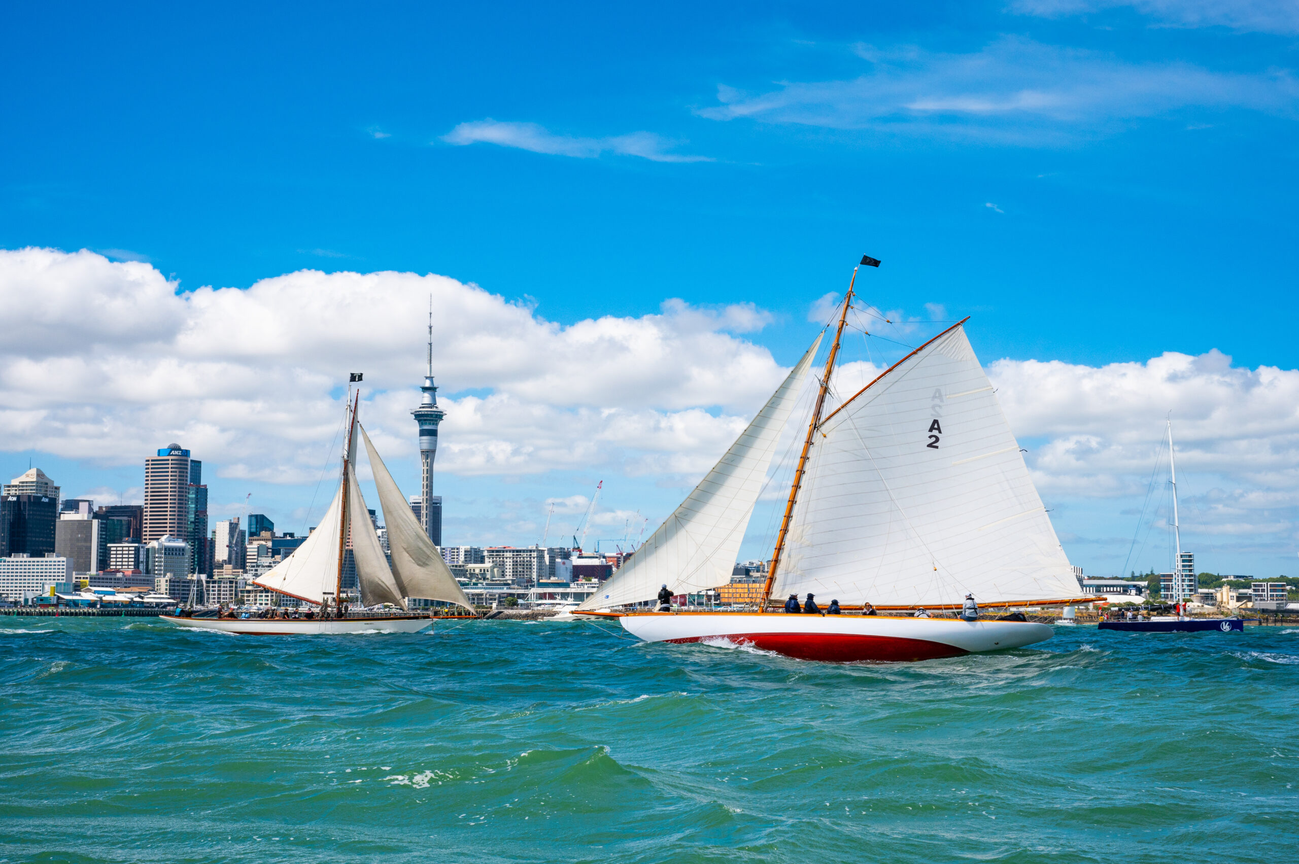 Full steam ahead for Oceanbridge Auckland Anniversary Day Regatta