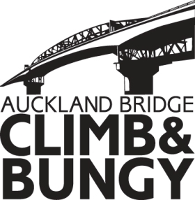 Auckland bridge climb and bungy