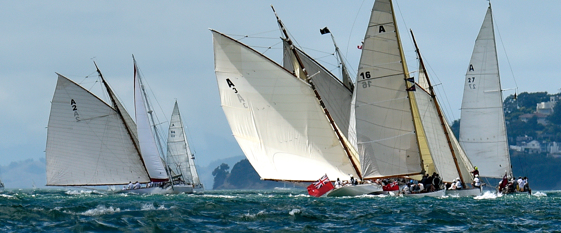 Home Auckland Anniversary Regatta